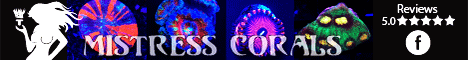 Mistress Corals