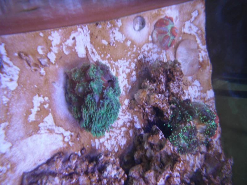 Name:  DSCF0792.jpg
Views: 577
Size:  69.2 KB