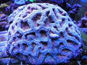 -dsc00381-jpg