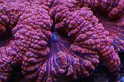 -dsc03190-jpg