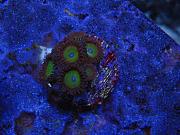 -img_1691-jpg