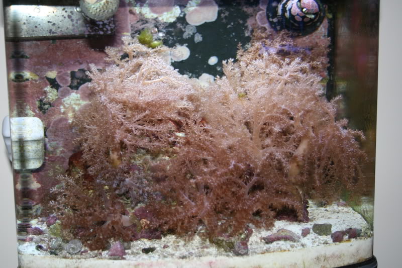 Name:  Picture059.jpg
Views: 3696
Size:  100.9 KB