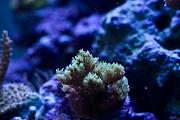 -060811_1-jpg