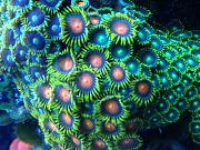 -img_0011-1-jpg