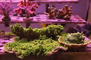 -20120923_1b_zps668d9a3d-jpg