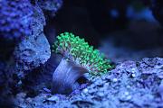 -img_1545-jpg