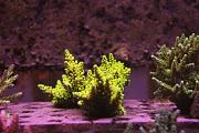 -20120923_35_zpsb0056e5a-jpg
