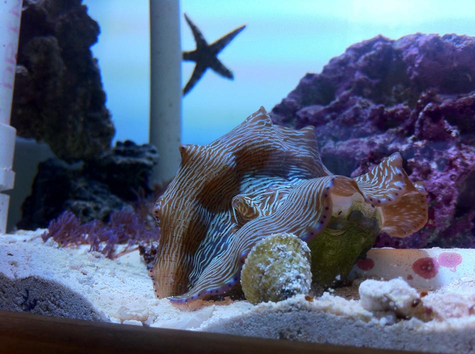 Name:  ImageUploadedByTapatalk1298568492.017131.jpg
Views: 136
Size:  93.4 KB