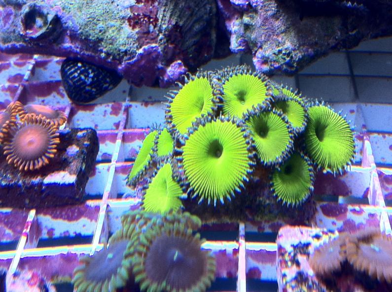 Name:  ImageUploadedByTapatalk1301316839.581613.jpg
Views: 139
Size:  99.2 KB