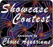 Name:  showcase-contest.jpg
Views: 3455
Size:  11.7 KB