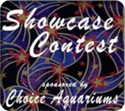 Name:  showcase-contest.jpg
Views: 2594
Size:  11.7 KB