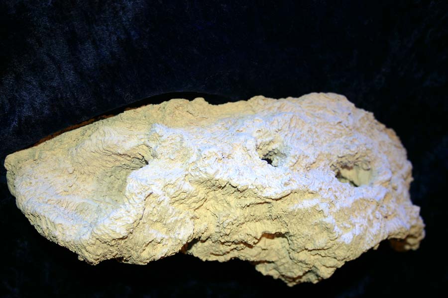 Name:  alternative-reef-station1.jpg
Views: 1005
Size:  62.1 KB