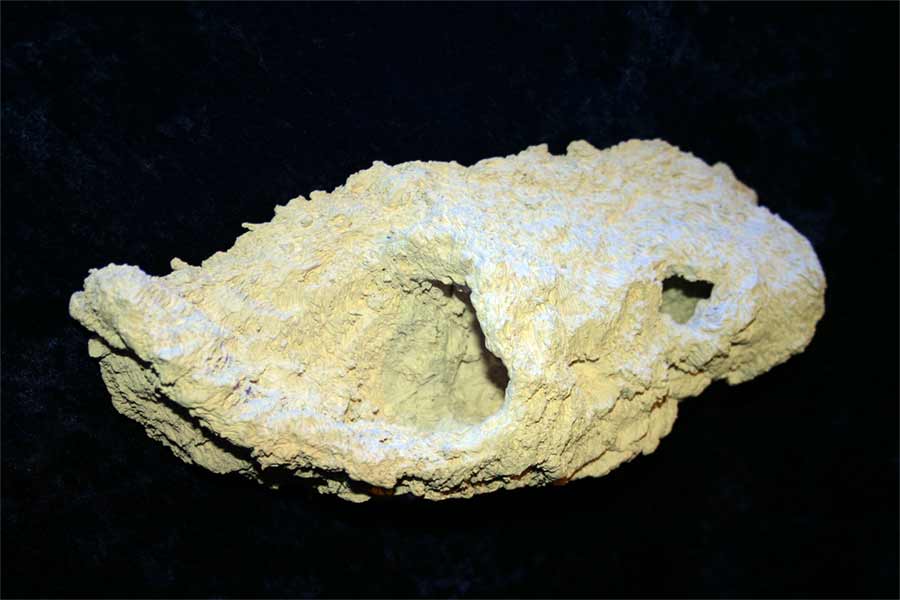 Name:  alternative-reef-station2.jpg
Views: 837
Size:  39.7 KB