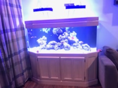 Name:  IMG_13701.jpg
Views: 129
Size:  44.8 KB