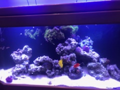 Name:  IMG_13711.jpg
Views: 129
Size:  45.7 KB