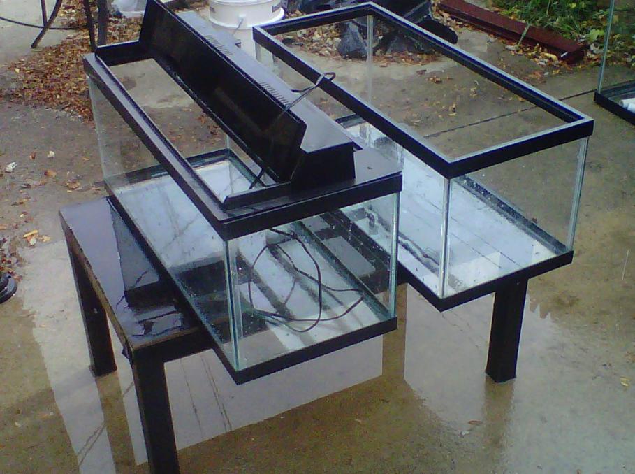 attachmentphp?attachmentid1753&ampstc1&ampd1289140938 - 55g Refugium and a few other tanks