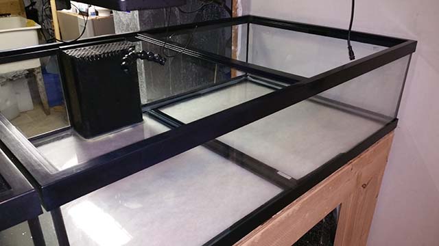 Name:  tank1.jpg
Views: 643
Size:  51.3 KB