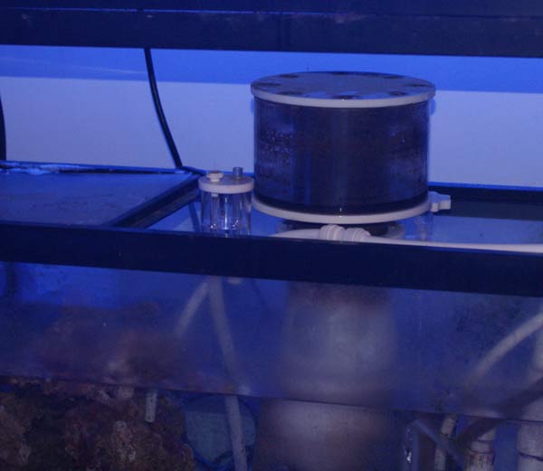 Name:  skimz-skimmer-reef-sump.jpg
Views: 1439
Size:  22.1 KB