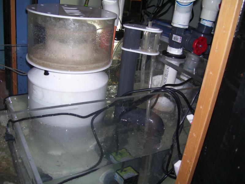 Name:  skimmer.jpg
Views: 1154
Size:  66.1 KB