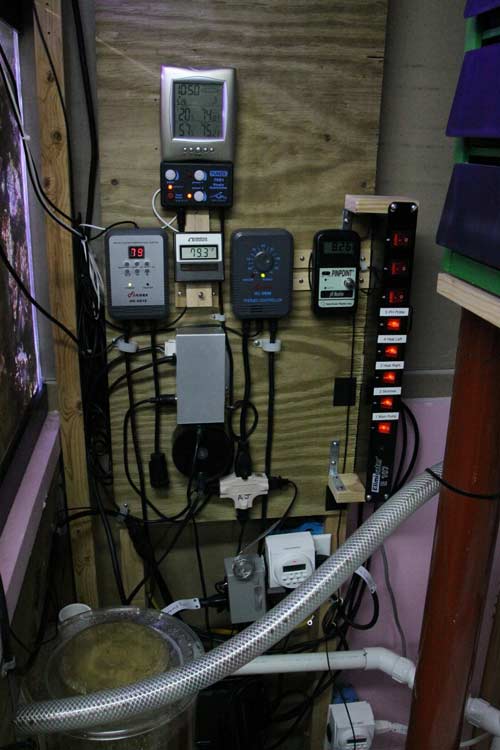 Name:  vega-4.jpg
Views: 1580
Size:  46.9 KB