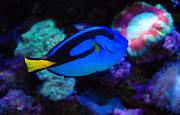 -20110811-04158s-jpg