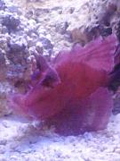 -img_20121019_172641-jpg