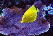 -20110811-04156s-jpg