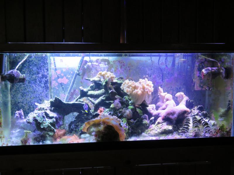 Name:  IMG_0347.jpg
Views: 299
Size:  63.6 KB