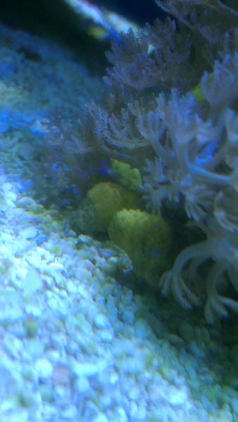 Name:  IMAG0214.jpg
Views: 423
Size:  25.9 KB