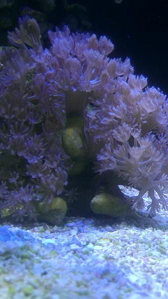 Name:  IMAG0217.jpg
Views: 464
Size:  33.3 KB