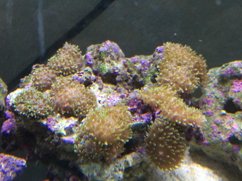 Name:  image.jpg
Views: 371
Size:  72.3 KB