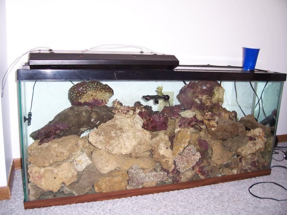 Name:  bluewater 028.jpg
Views: 263
Size:  93.0 KB