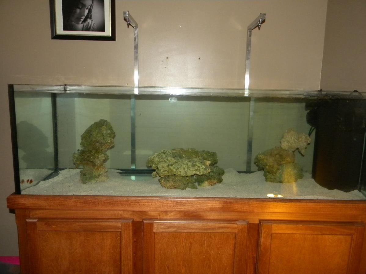Name:  DSCN3581.jpg
Views: 589
Size:  88.4 KB