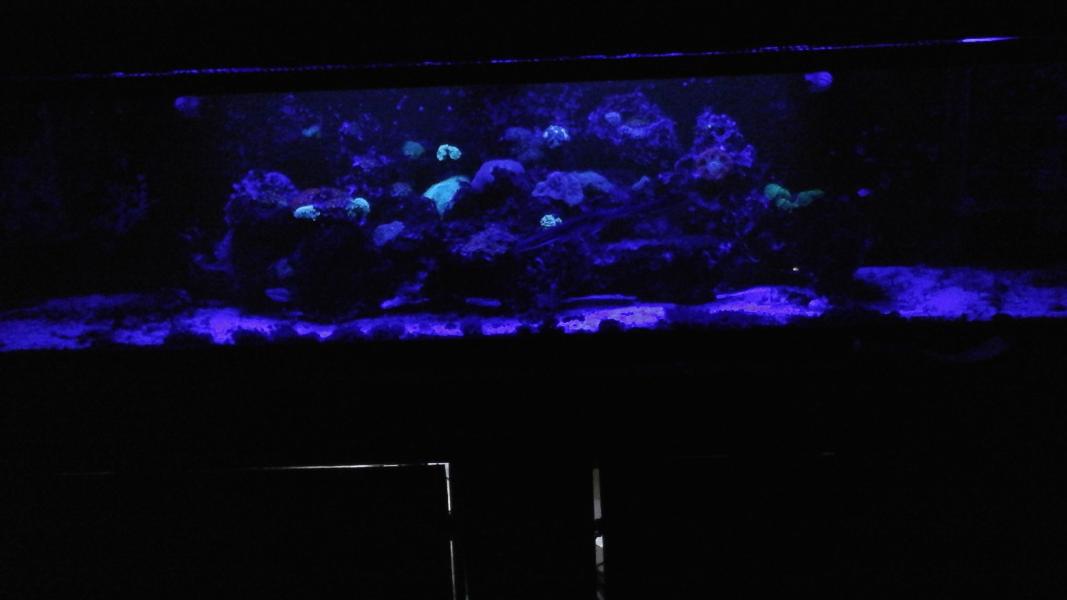 Name:  1436126130043.jpg
Views: 113
Size:  35.3 KB