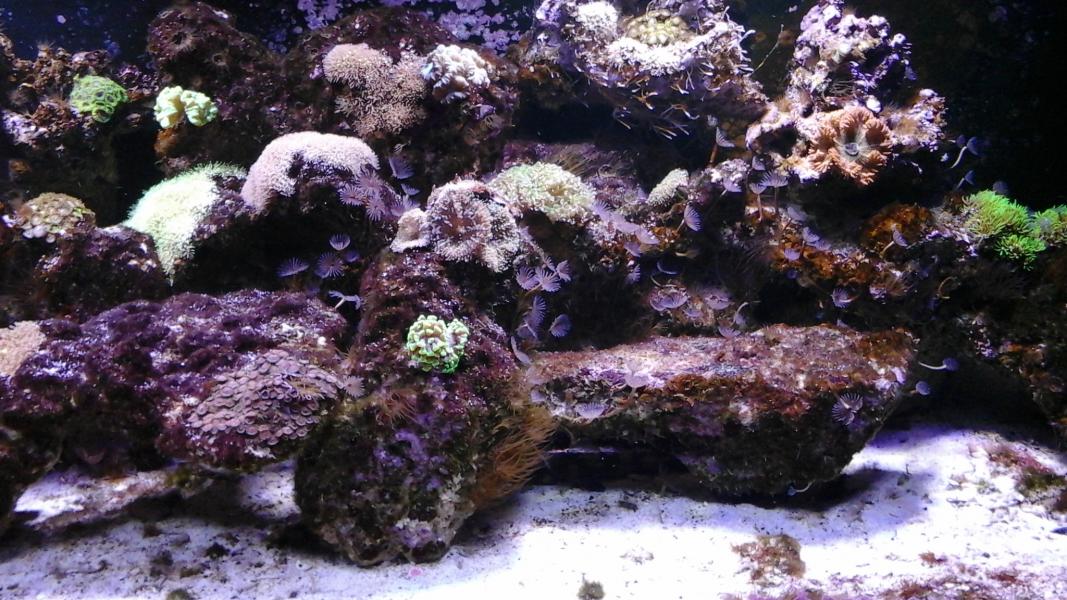 Name:  1436129628067.jpg
Views: 107
Size:  138.7 KB