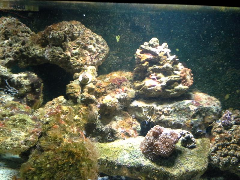 Name:  300 gallon tank 100.jpg
Views: 215
Size:  108.8 KB