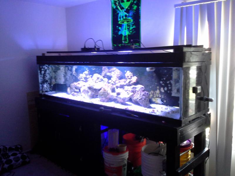 Name:  300 gallon tank 122.jpg
Views: 207
Size:  53.2 KB