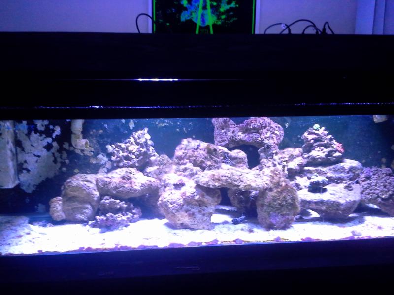 Name:  finished tank 006.jpg
Views: 207
Size:  58.9 KB