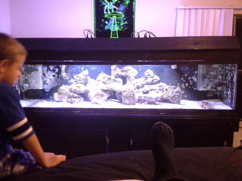 Name:  finished tank 014.jpg
Views: 202
Size:  56.7 KB