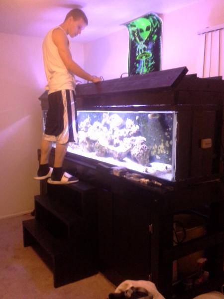Name:  finished tank 015.jpg
Views: 202
Size:  27.4 KB