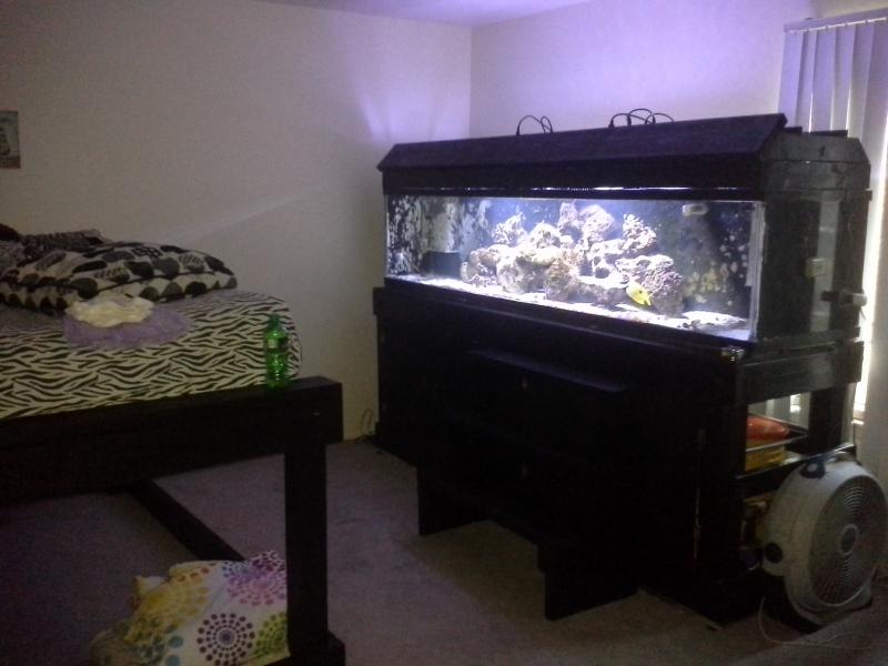 Name:  finished tank 020.jpg
Views: 226
Size:  47.3 KB