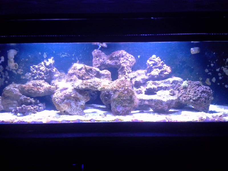 Name:  finished tank 026.jpg
Views: 209
Size:  58.3 KB