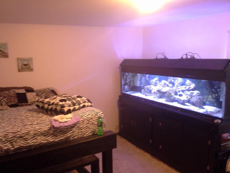Name:  finished tank 028.jpg
Views: 202
Size:  43.5 KB