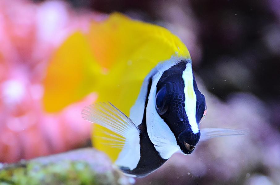 Name:  image.jpg
Views: 341
Size:  46.0 KB