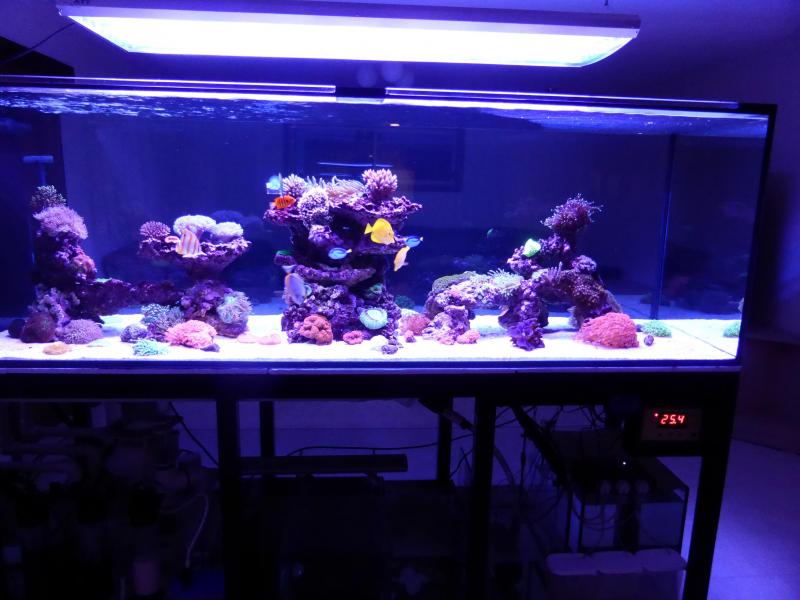 Name:  FTS night.jpg
Views: 219
Size:  58.5 KB
