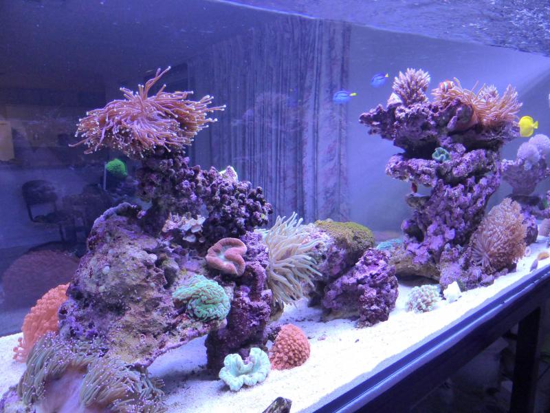 Name:  FTS side on.jpg
Views: 220
Size:  88.1 KB
