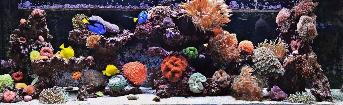 Name:  image.jpg
Views: 267
Size:  134.5 KB