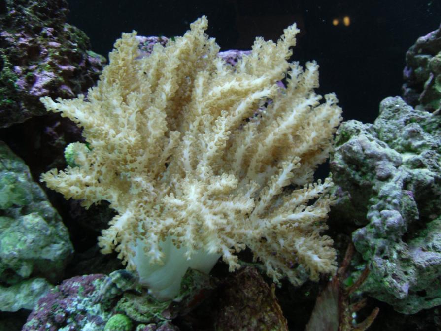 Name:  My pics 064.jpg
Views: 278
Size:  93.3 KB