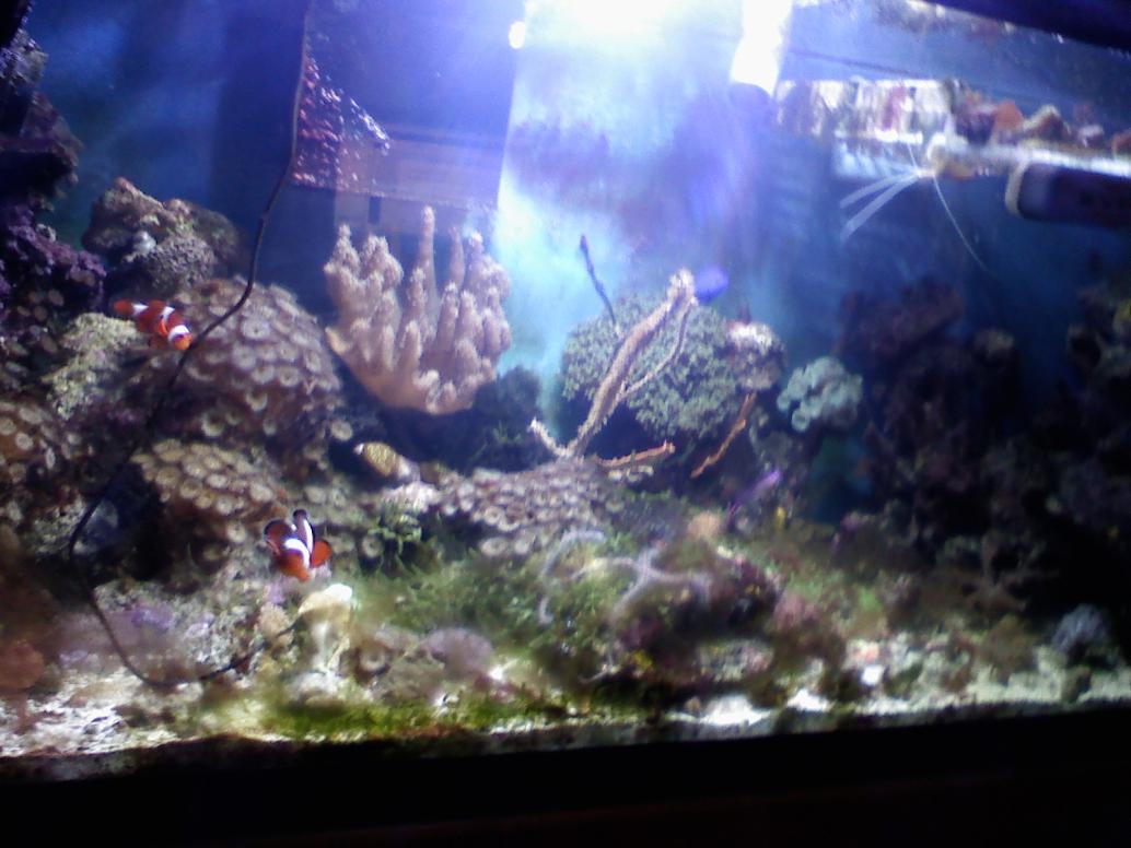 Name:  0124001637.jpg
Views: 105
Size:  88.5 KB