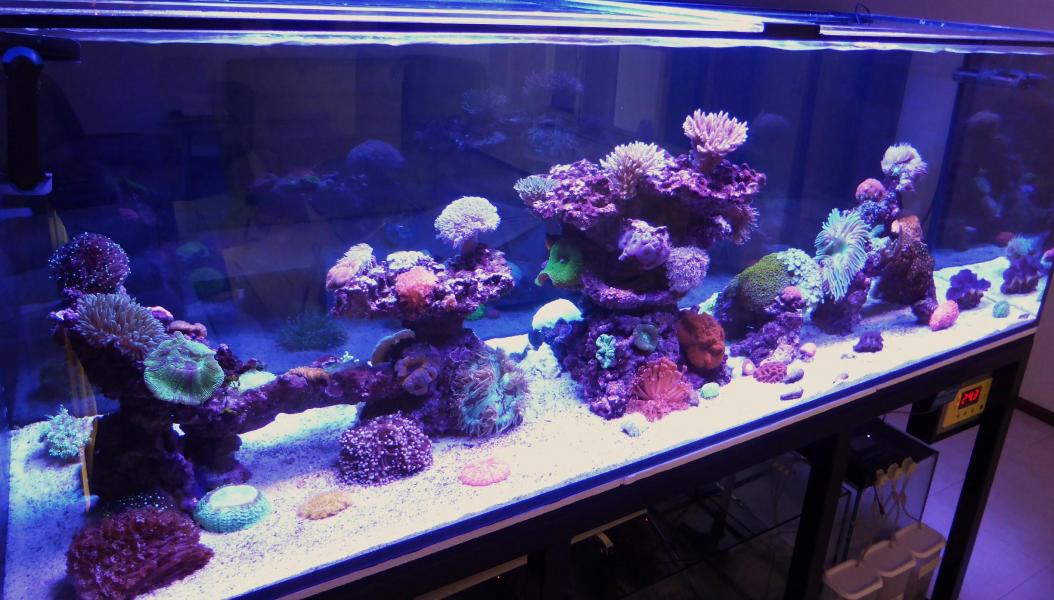 Name:  nice fts (2).jpg
Views: 152
Size:  100.4 KB